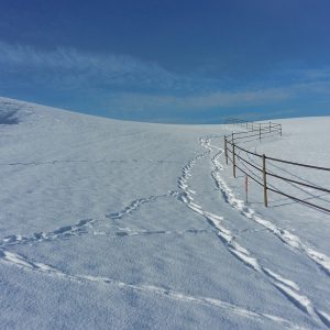 Übersicht Fotokarten Schaltfläche Winter